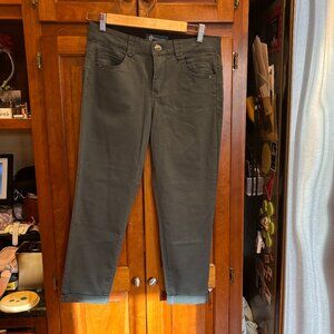 NWOT "Ab"solution® Color Ankle Skimmer Petite 6 Skinny Dark Blue Green